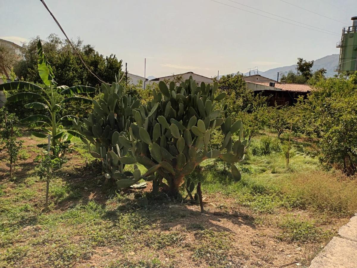 Aromi Di Sicilia Casa Vacanze Palermo Exteriér fotografie